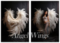 Angel Wings 