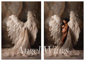 Angel Wings 