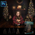 Christmas Tree Light Overlays + Photoshop Actions Overlays: String Lights