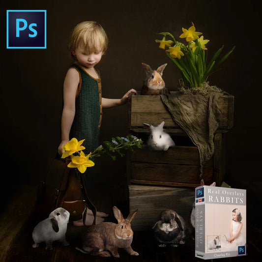 Real Rabbits Overlay Bundle Real Overlays & Photoshop Actions