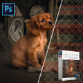 Watermark Grid and Overlays for image protection Photoshop Mini Action