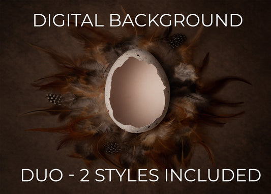 Tawny Speckle Eggshell Duo | 2 Egg Shell Digital Backgrounds Digital Background for Photoshop